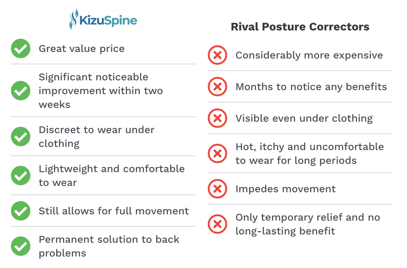 Kizu Spine Review 2022 Customer Choice